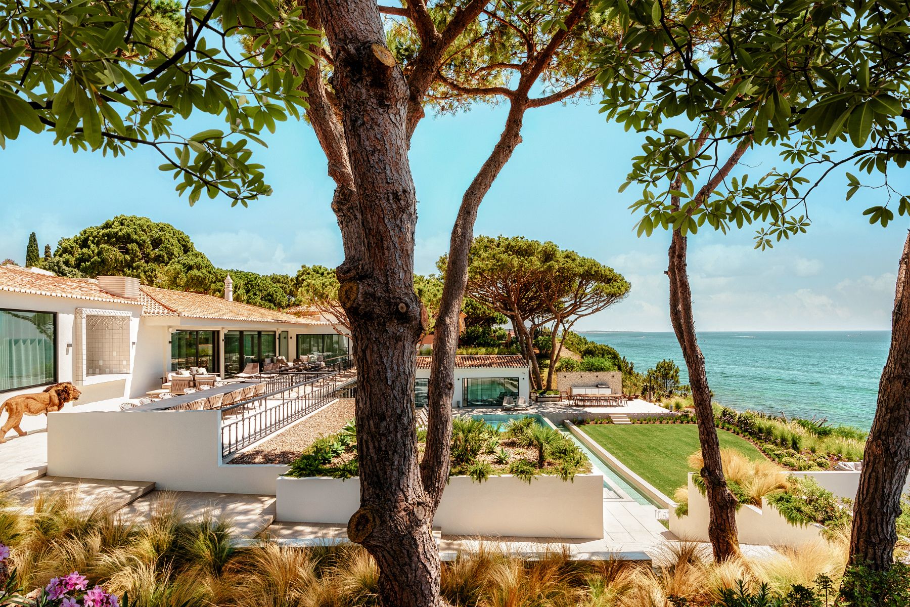 Image of one of our homes. A serene coastal scene with a modern, single-story residence featuring large glass windows and a flat roof. The house is surrounded by lush greenery, including trees and shrubs, with a well-manicured lawn leading to an infinity pool that overlooks the ocean. A clear sky above and calm sea in the distance create a tranquil atmosphere. In the foreground, there’s a tree providing shade, and a dog is seen walking on the property’s pathway.