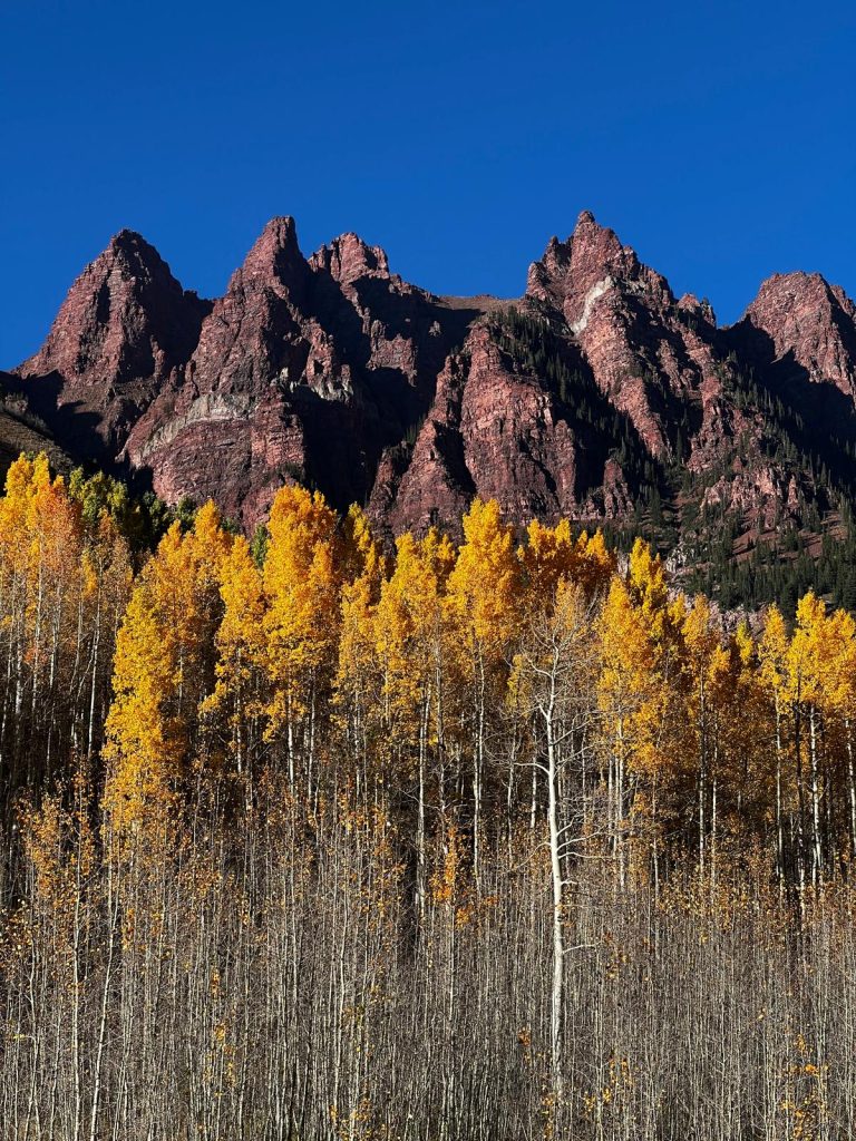 This photo captures a striking natural landscape featuring towering reddish-brown mountains in the background, contrasted by vibrant, golden-yellow trees in the foreground. The trees appear to be aspens, their leaves glowing with the warm colors of autumn. The mountain peaks are rugged and steep, casting dark shadows that emphasize their rough texture. Above the mountains, the sky is a deep, rich blue, creating a beautiful contrast against the earth tones of the mountains and the bright foliage. The combination of the clear sky, autumnal colors, and dramatic mountains creates a breathtaking, serene scene