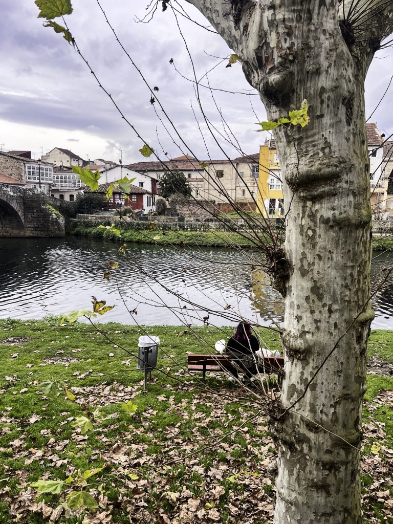 Scenic view of Monforte de Lemos, Spain, featuring a historic stone bridge with multiple arches crossing the calm waters of the Cabe River. A red bench sits on a grassy riverbank covered with fallen leaves, while leafless trees frame the cloudy sky. Traditional Galician buildings with white and red facades line the background.
