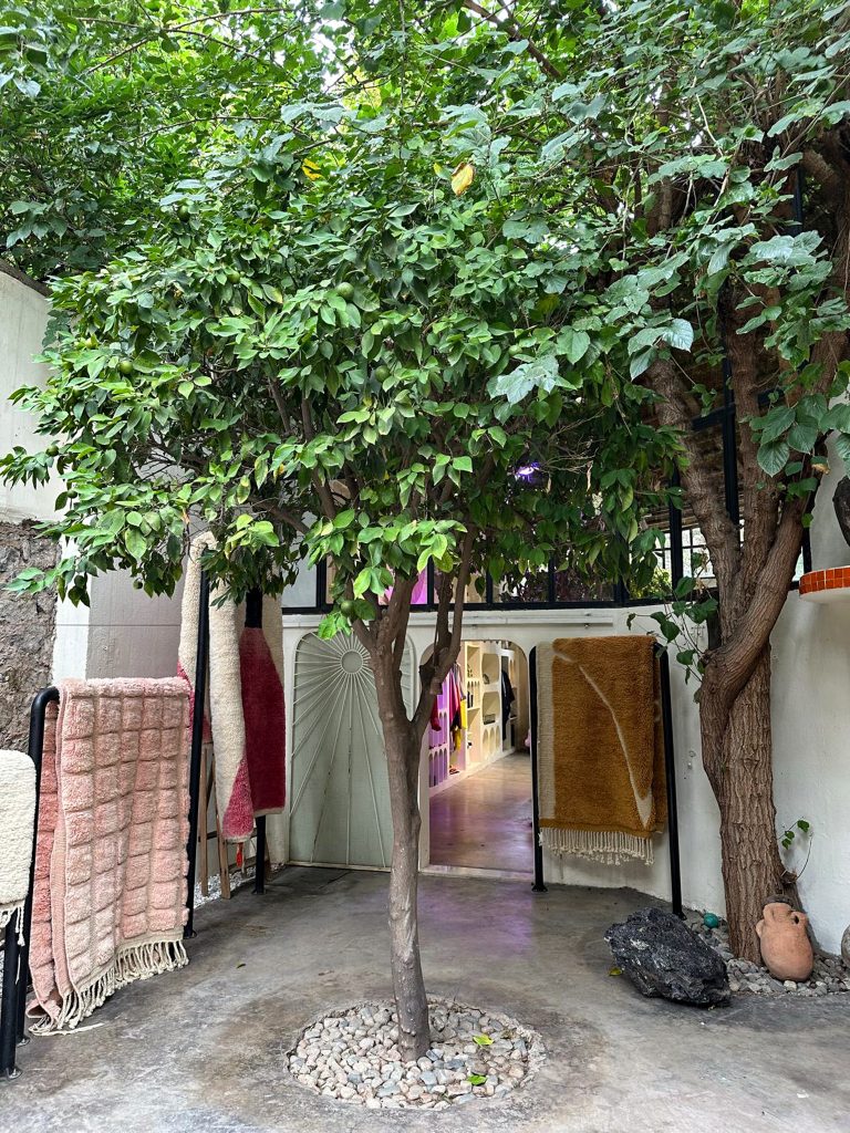 A shop entrance is partially hidden by two leafy trees. Several rugs are displayed outside: three on a rack to the left (beige textured, light pink grid, and partially visible deep red), and one golden brown fringed rug on a rack to the right. The shop has a white arched doorway with a sunburst design, leading to a bright interior with colorful clothes. A dark rock and terracotta pot sit near the right rug. The ground is concrete with stones around the base of the smaller tree.