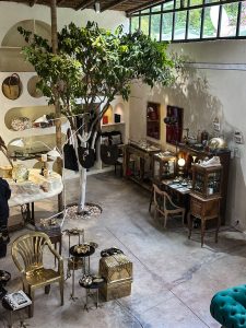 An overhead shot captures the interior of a uniquely designed retail space, blending natural elements with curated displays. A central feature is a real tree, its trunk painted white, rising through an opening in the ceiling and surrounded by a circular bed of small, light-colored stones. The tree's branches extend over various merchandise displays.