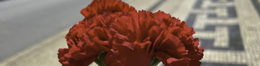 Close-up of vibrant red carnations held in the foreground, with the traditional Portuguese calçada (cobblestone pavement) and an empty street in the background, symbolizing the Carnation Revolution.
