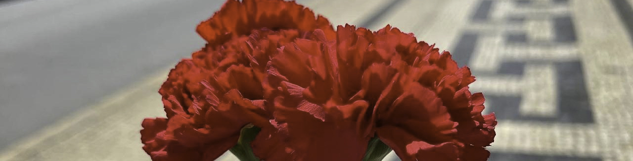 Close-up of vibrant red carnations held in the foreground, with the traditional Portuguese calçada (cobblestone pavement) and an empty street in the background, symbolizing the Carnation Revolution.
