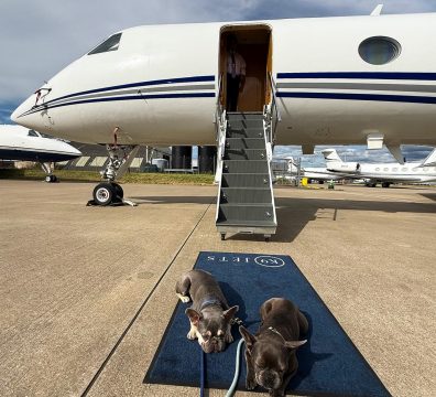 Frenchies Beluga and Luna, resting on a blue K9 Jets-branded mat in front of a private jet with its stairs down and a pilot visible in the doorway.